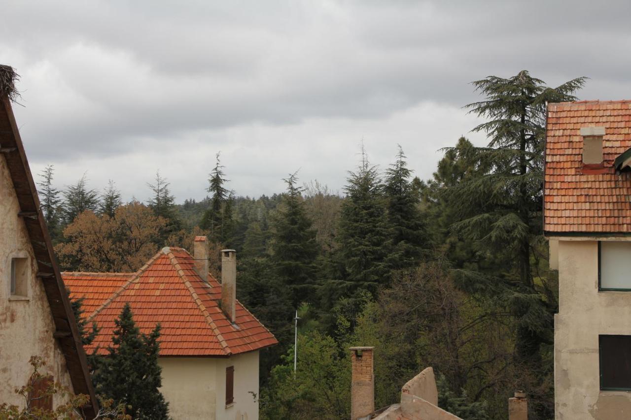 Appartement Amira Ifrane 伊夫兰 外观 照片