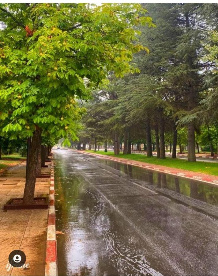 Appartement Amira Ifrane 伊夫兰 外观 照片